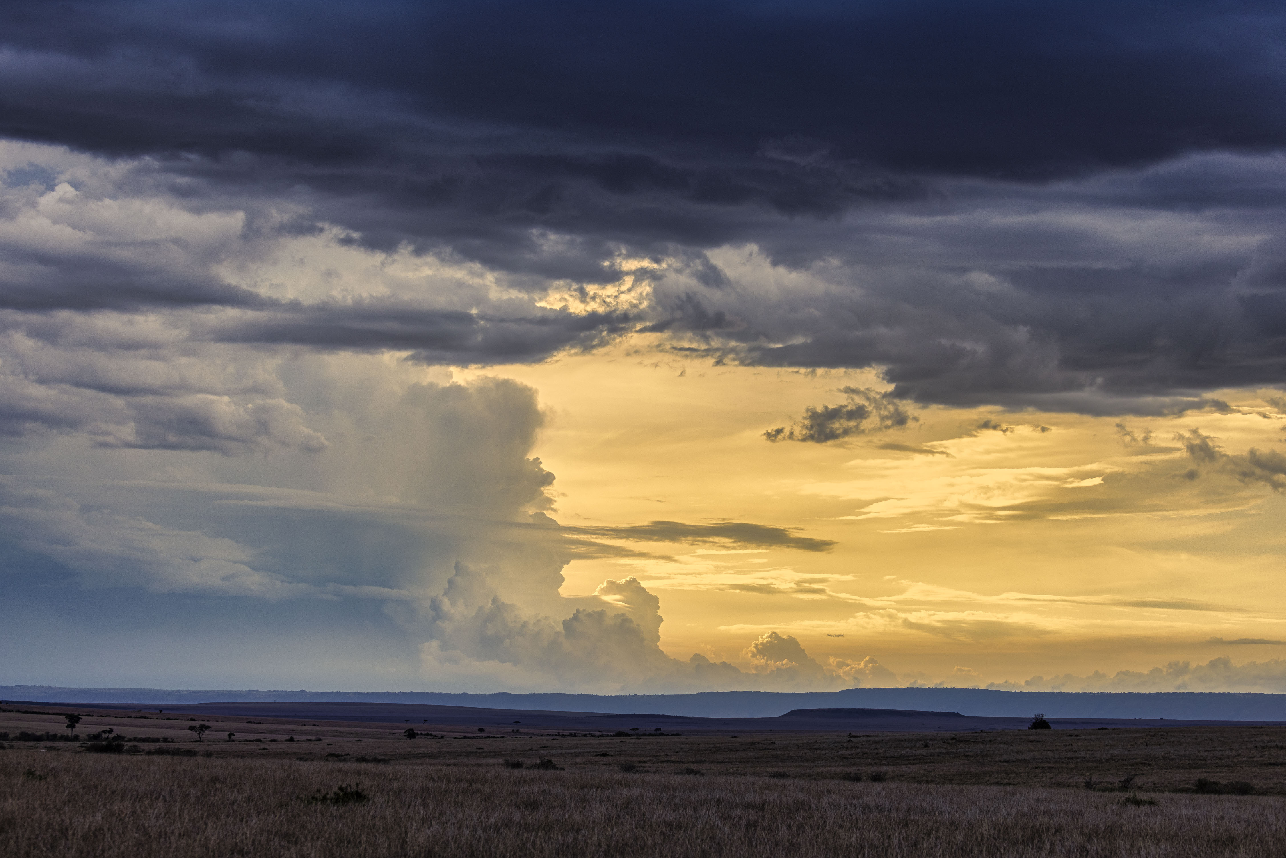 November 11, 2022-165400-2-Edit.jpg